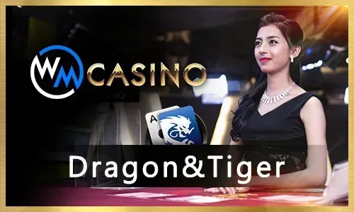 Maximizing Your Wins with bigbunny Sports Betting Strategies